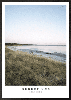 Ordrup Næs Stranden Plakat