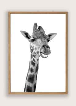 Smilende Giraf Plakat
