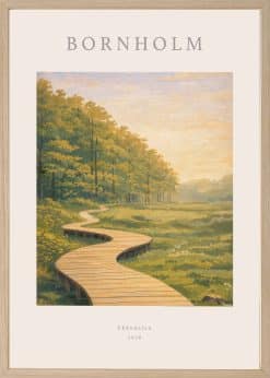 Bornholm Ekkodalen Plakat