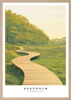 Bornholm Ekkodalen Plakat