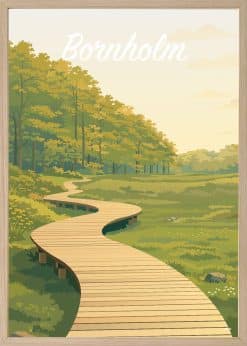 Bornholm Ekkodalen Plakat