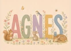 Agnes Plakat